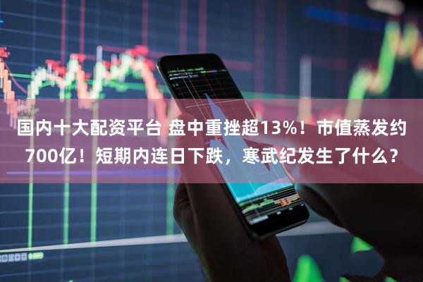 国内十大配资平台 盘中重挫超13%！市值蒸发约700亿！短期内连日下跌，寒武纪发生了什么？