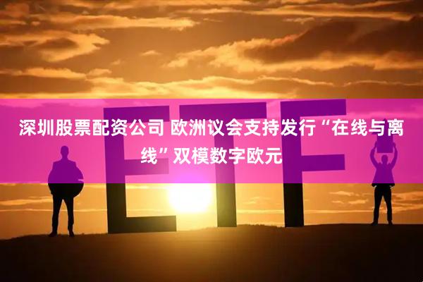 深圳股票配资公司 欧洲议会支持发行“在线与离线”双模数字欧元